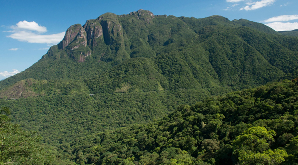 Passeio de trem Serra do Mar