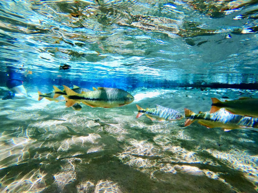 DCIM104GOPROGOPR1366.JPG