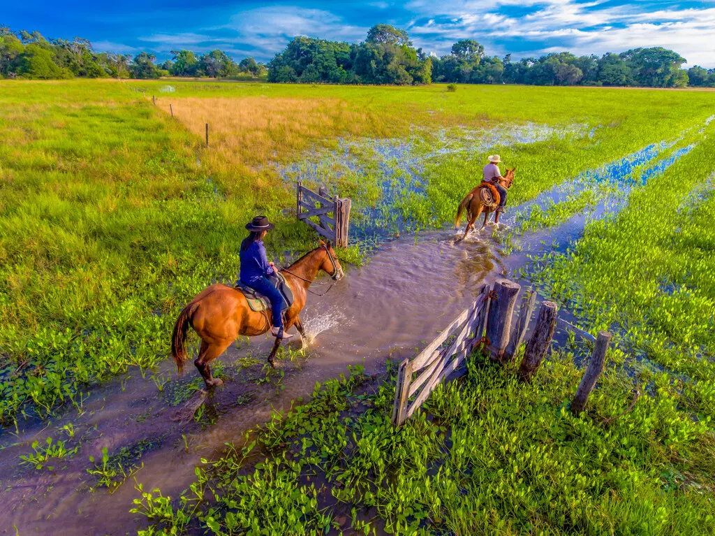 Cavalgada no Pantanal
