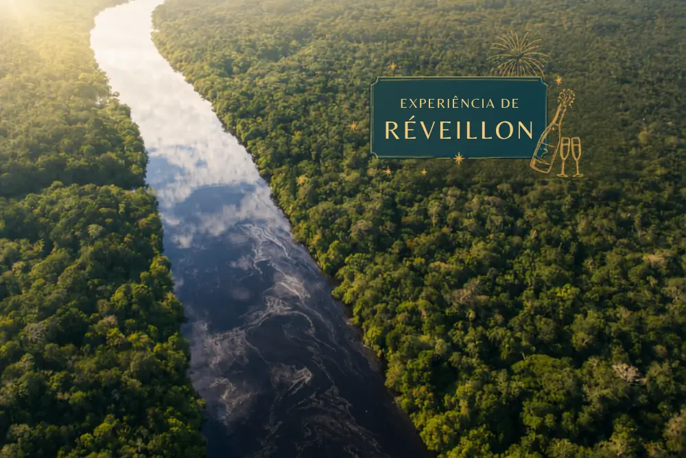 Amazonia - (145)