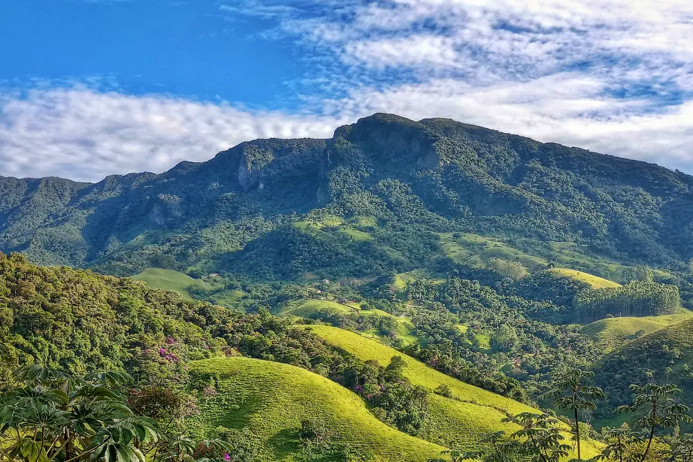 Gomeral (91) Gomeral (91)