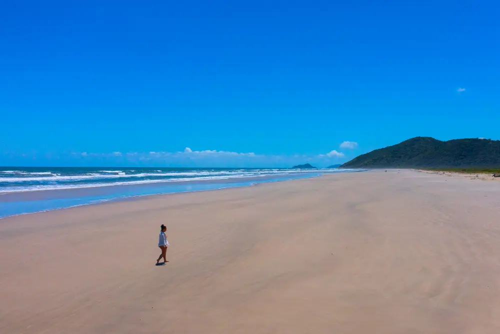 Ilha-Cardoso (91) Ilha-Cardoso (91)