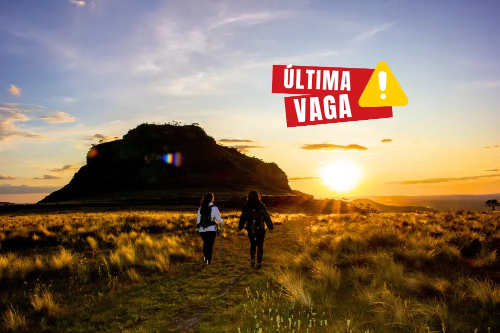 Luminárias 22