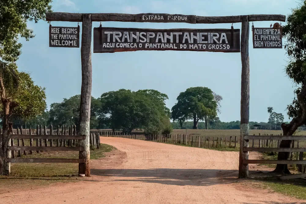 Pantanal Norte (37)