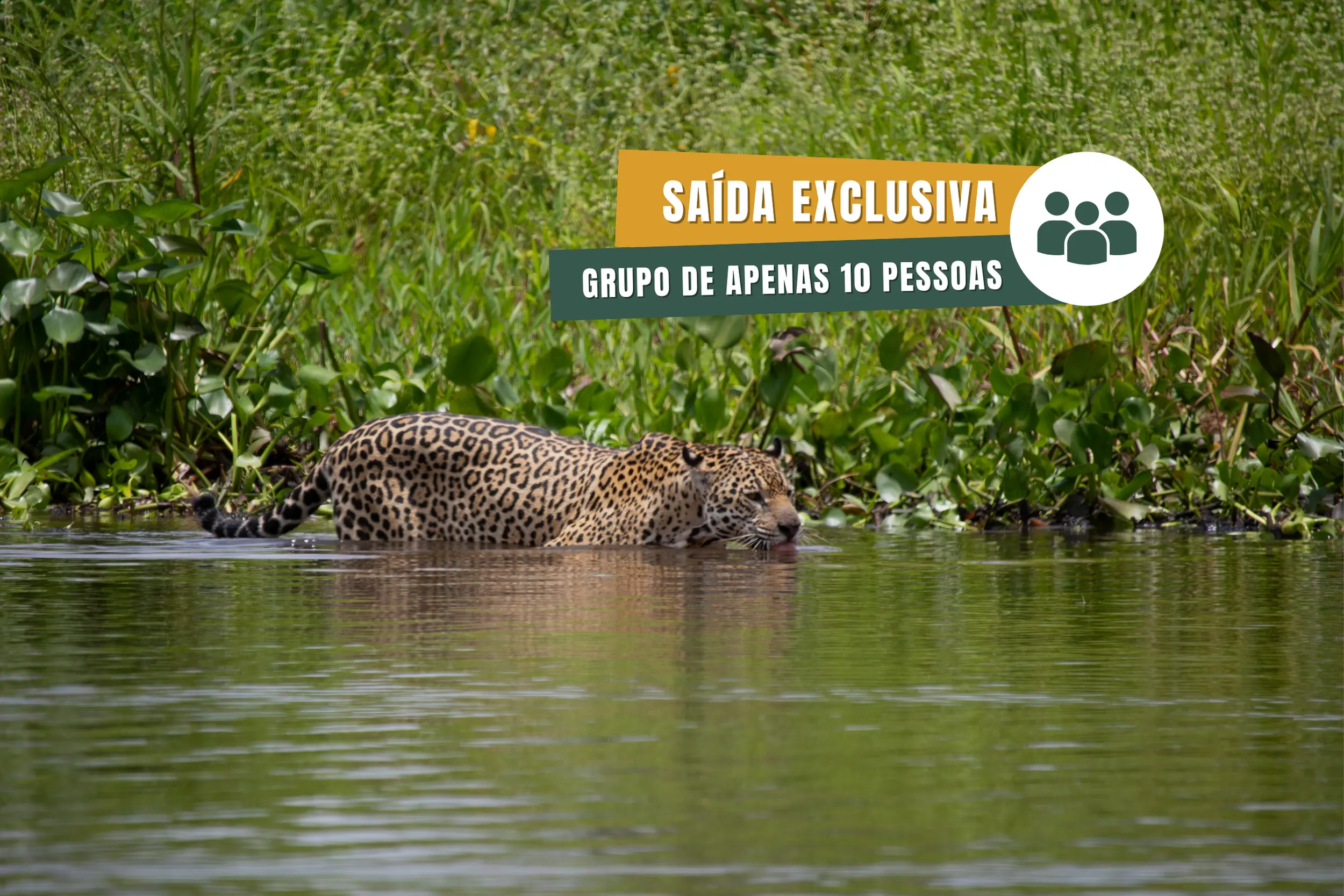 Pantanal Norte (54)