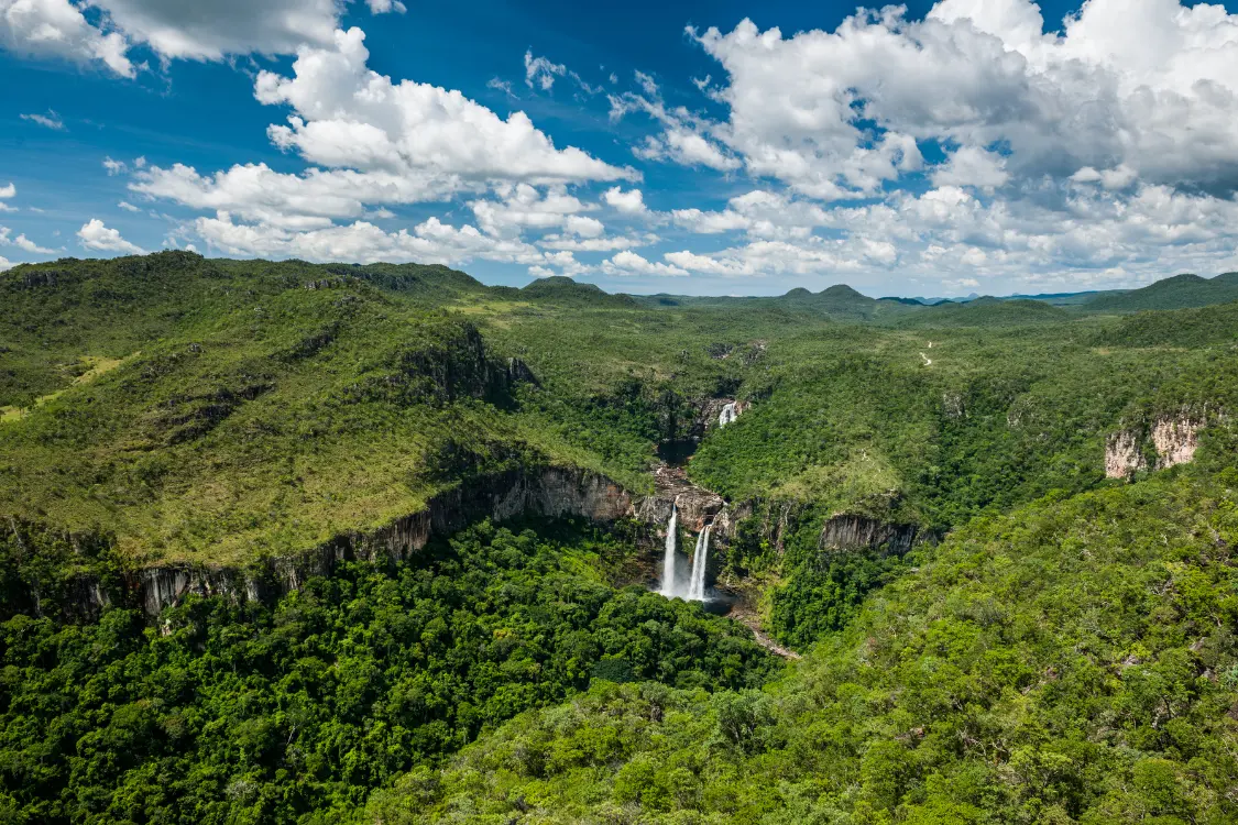 Veadeiros (115)