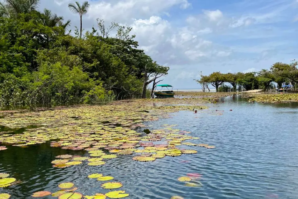 Alter (14) Alter (14)