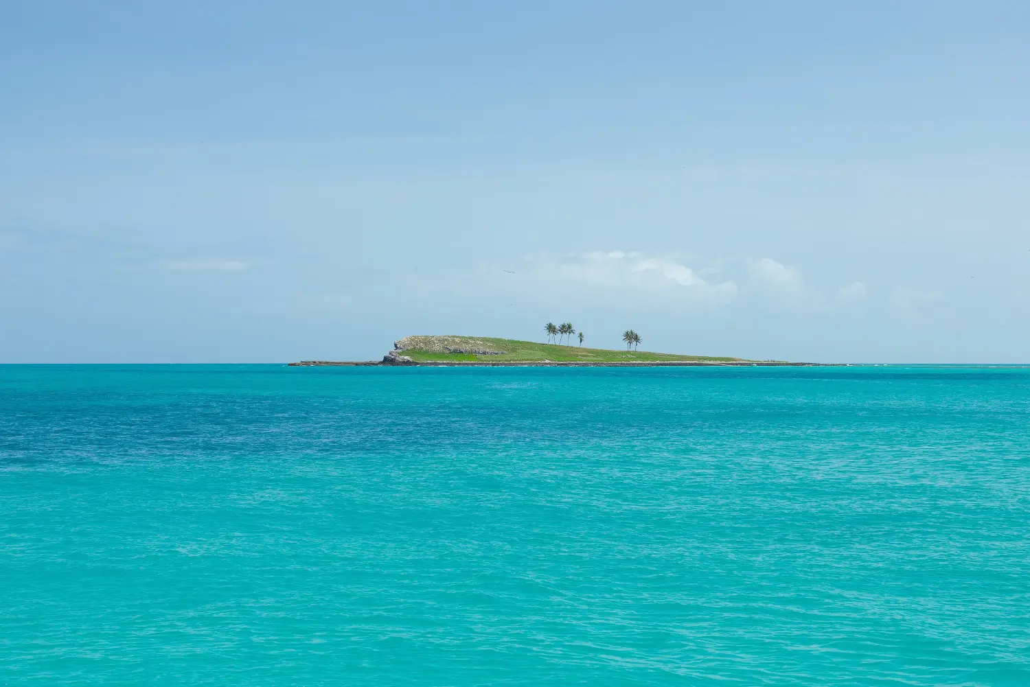 Abrolhos (2)