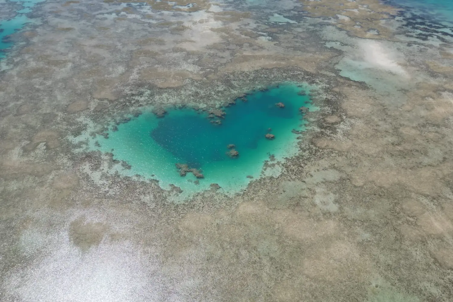 Abrolhos (20)