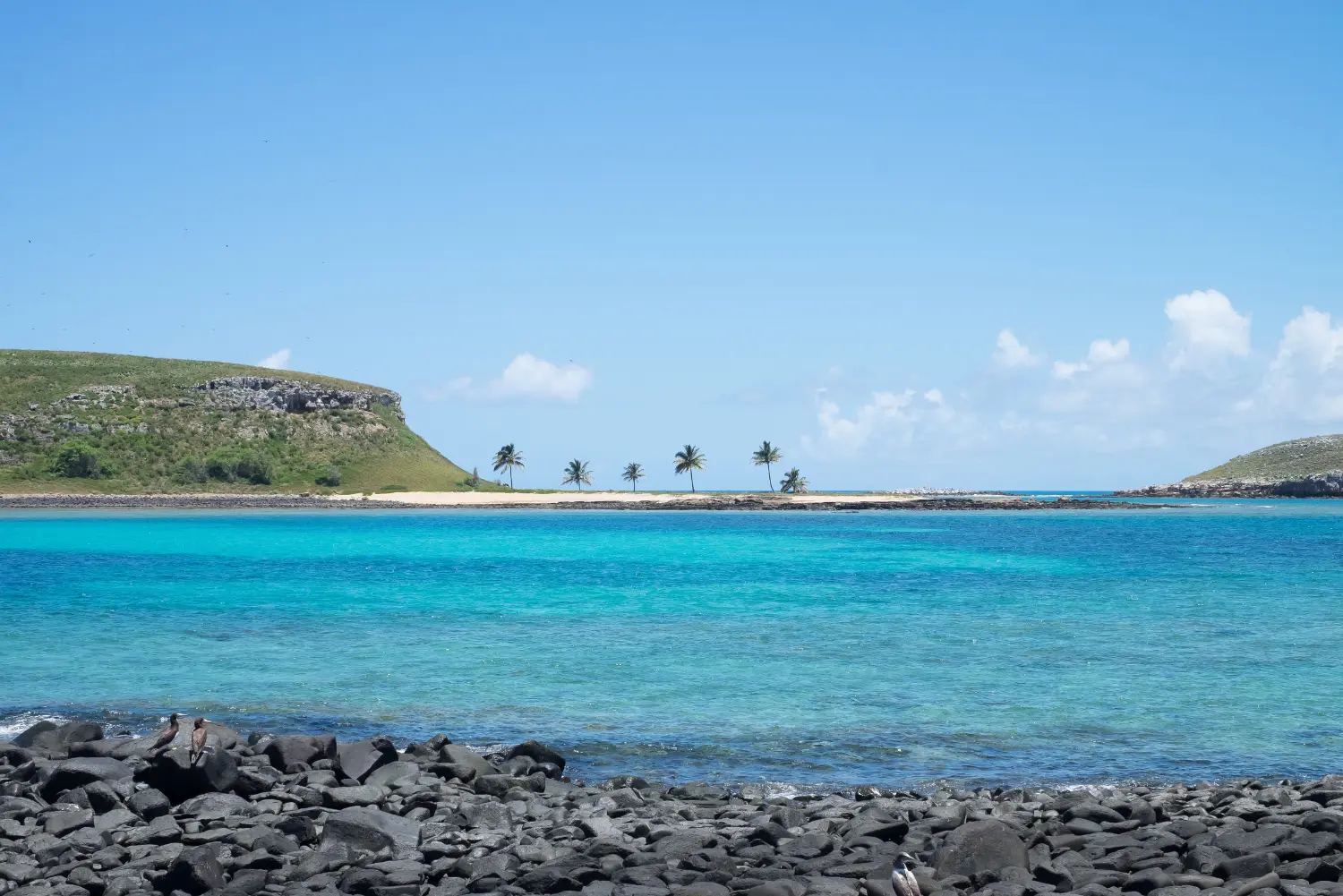 Abrolhos (26)