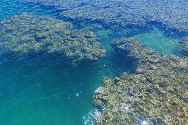 Abrolhos (29)