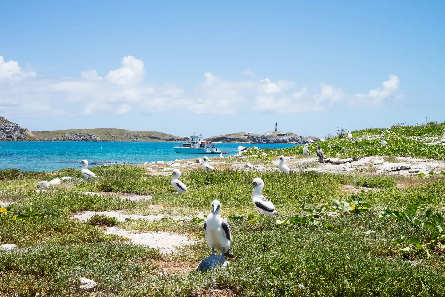 Abrolhos (5)