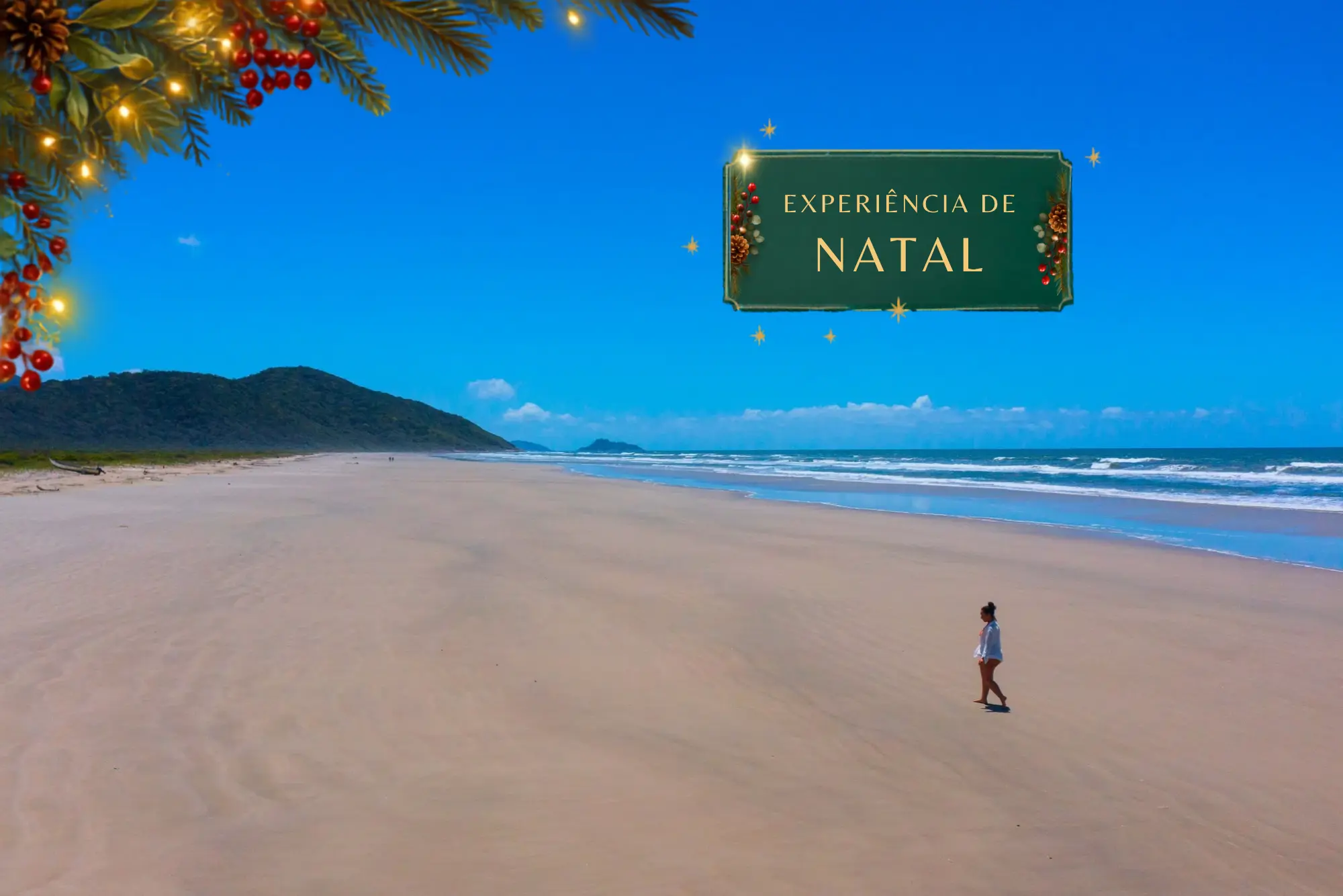 Ilha-Cardoso (94)