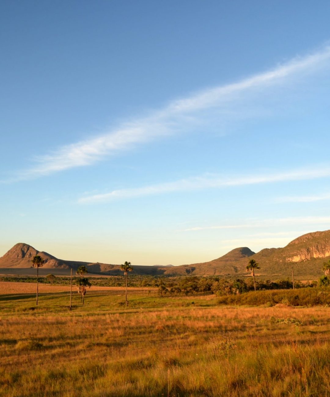 CHAPADA DOS VEADEIROS VAIVIVER